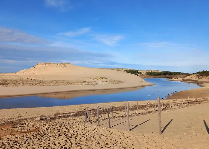 Maison Les Pieds Dans L\'Eau, Piscine Et Plage A Pieds